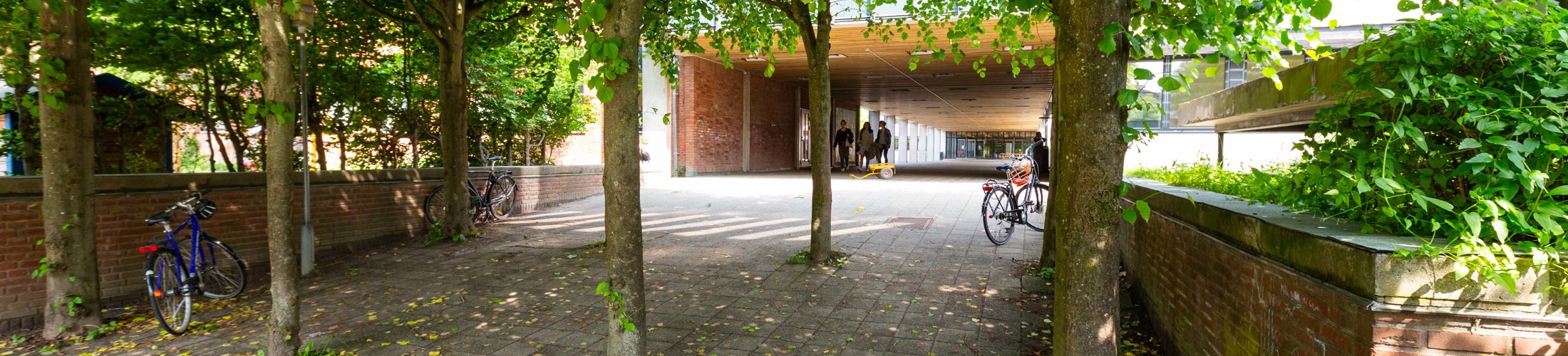 Indgang til skolen  Indgang til skolen